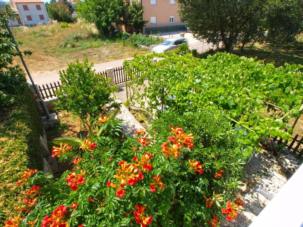 Apartments Zlatko 1397 Stinjan Exterior photo